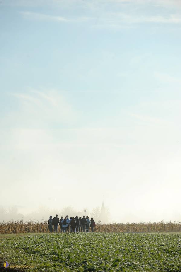 Nom de l'image : D30083033_1_(c)Norbert-JUNG — Description :